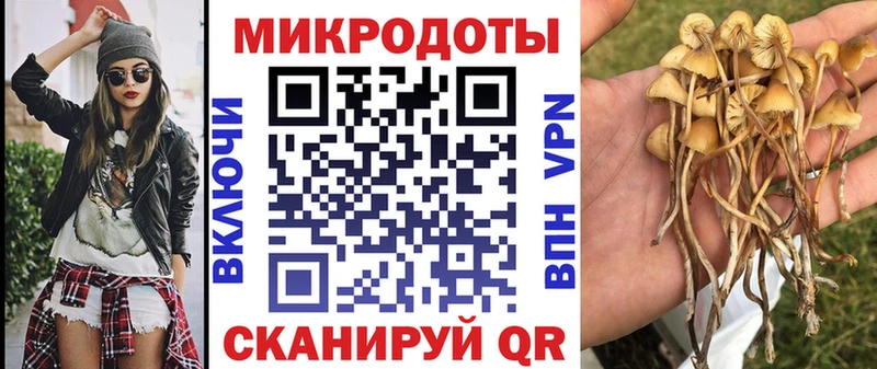 omg ССЫЛКА  Тырныауз  Галлюциногенные грибы MAGIC MUSHROOMS 